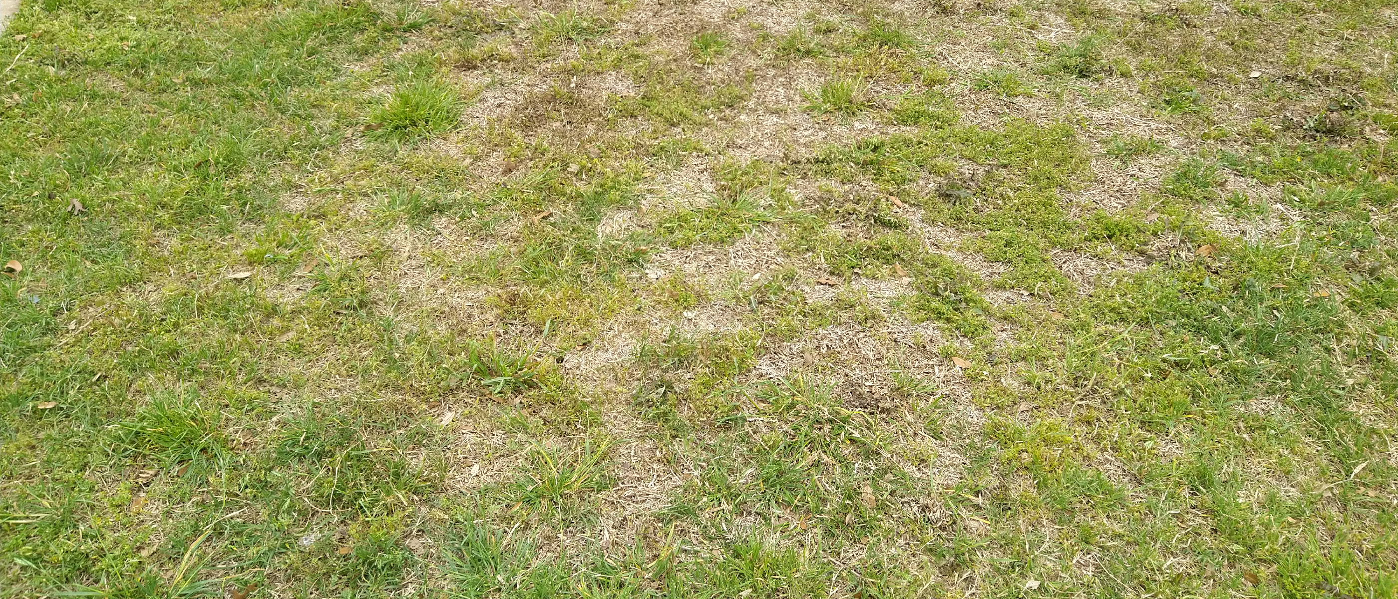What I'm starting with this Spring...