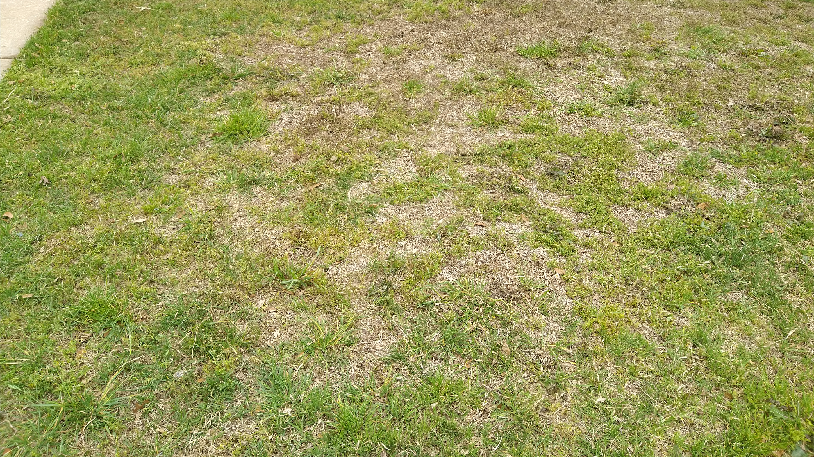 What I'm starting with this Spring...